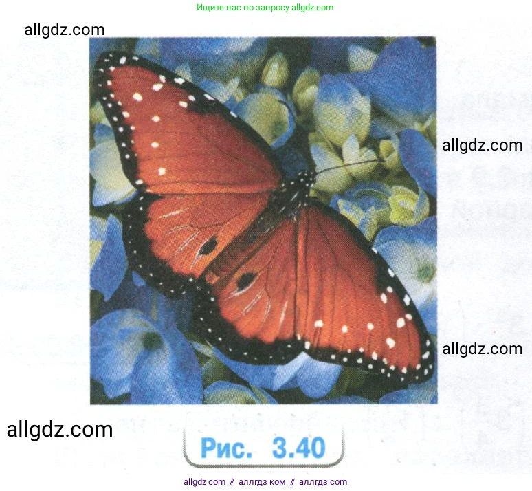 Математика, 6 класс Учебник, авторы: Виленкин Наум Яковлевич, Жохов Владимир Иванович, Чесноков Александр Семёнович, Александрова Лилия Александровна, Шварцбурд Семён Исаакович, издательство Просвещение, Москва, 2023, белого цвета, Часть 1, страница 148, номер 3.154, Условие (продолжение 2)