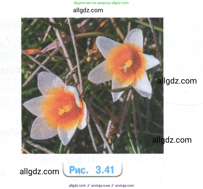 Математика, 6 класс Учебник, авторы: Виленкин Наум Яковлевич, Жохов Владимир Иванович, Чесноков Александр Семёнович, Александрова Лилия Александровна, Шварцбурд Семён Исаакович, издательство Просвещение, Москва, 2023, белого цвета, Часть 1, страница 148, номер 3.155, Условие (продолжение 2)