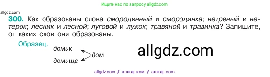 Русский язык, 6 класс Учебник, авторы: Баранов Михаил Трофимович, Ладыженская Таиса Алексеевна, Тростенцова Лидия Александровна, Ладыженская Наталия Вениаминовна, Дейкина Алевтина Дмитриевна, Антонова Любовь Геннадиевна, Григорян Лариса Трофимовна, Кулибаба Иван Иванович, издательство Просвещение, Москва, 2023, салатового цвета, Часть 1, страница 157, номер 300, Условие 2023
