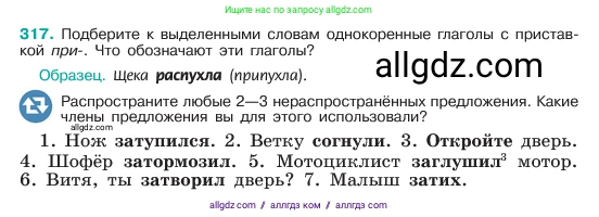 Русский язык, 6 класс Учебник, авторы: Баранов Михаил Трофимович, Ладыженская Таиса Алексеевна, Тростенцова Лидия Александровна, Ладыженская Наталия Вениаминовна, Дейкина Алевтина Дмитриевна, Антонова Любовь Геннадиевна, Григорян Лариса Трофимовна, Кулибаба Иван Иванович, издательство Просвещение, Москва, 2023, салатового цвета, Часть 1, страница 166, номер 317, Условие 2023