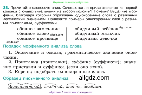 Русский язык, 6 класс Учебник, авторы: Баранов Михаил Трофимович, Ладыженская Таиса Алексеевна, Тростенцова Лидия Александровна, Ладыженская Наталия Вениаминовна, Дейкина Алевтина Дмитриевна, Антонова Любовь Геннадиевна, Григорян Лариса Трофимовна, Кулибаба Иван Иванович, издательство Просвещение, Москва, 2023, салатового цвета, Часть 1, страница 19, номер 38, Условие 2023