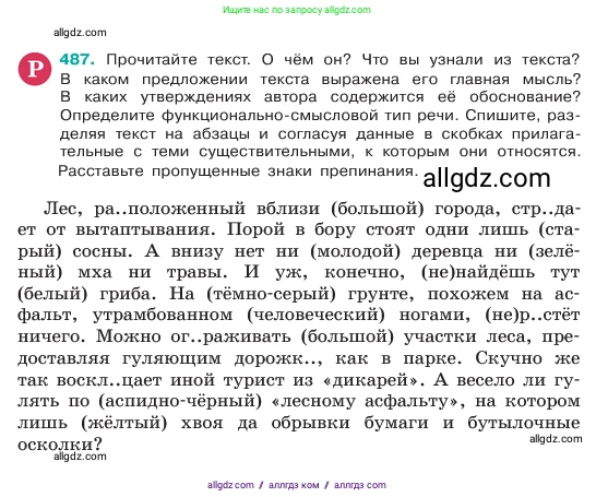 Русский язык, 6 класс Учебник, авторы: Баранов Михаил Трофимович, Ладыженская Таиса Алексеевна, Тростенцова Лидия Александровна, Ладыженская Наталия Вениаминовна, Дейкина Алевтина Дмитриевна, Антонова Любовь Геннадиевна, Григорян Лариса Трофимовна, Кулибаба Иван Иванович, издательство Просвещение, Москва, 2023, салатового цвета, Часть 2, страница 43, номер 487, Условие 2023