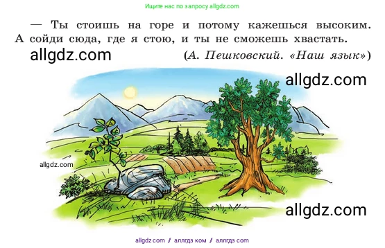 Русский язык, 6 класс Учебник, авторы: Баранов Михаил Трофимович, Ладыженская Таиса Алексеевна, Тростенцова Лидия Александровна, Ладыженская Наталия Вениаминовна, Дейкина Алевтина Дмитриевна, Антонова Любовь Геннадиевна, Григорян Лариса Трофимовна, Кулибаба Иван Иванович, издательство Просвещение, Москва, 2023, салатового цвета, Часть 2, страница 135, номер 672, Условие 2023 (продолжение 2)