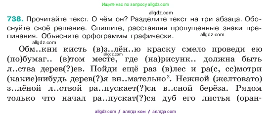 Русский язык, 6 класс Учебник, авторы: Баранов Михаил Трофимович, Ладыженская Таиса Алексеевна, Тростенцова Лидия Александровна, Ладыженская Наталия Вениаминовна, Дейкина Алевтина Дмитриевна, Антонова Любовь Геннадиевна, Григорян Лариса Трофимовна, Кулибаба Иван Иванович, издательство Просвещение, Москва, 2023, салатового цвета, Часть 2, страница 167, номер 738, Условие 2023