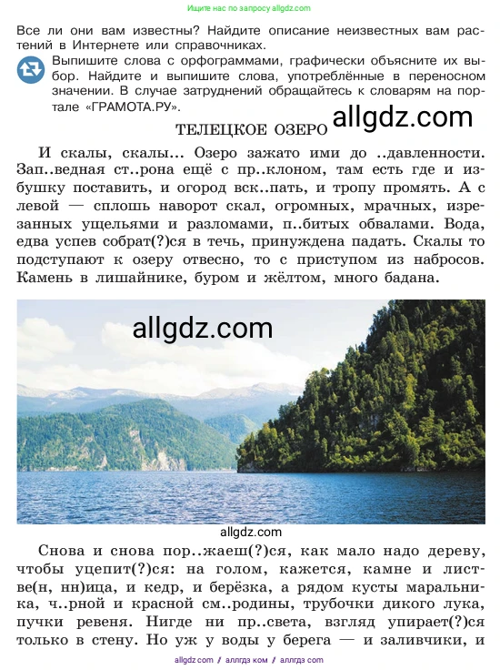 Русский язык, 6 класс Учебник, авторы: Баранов Михаил Трофимович, Ладыженская Таиса Алексеевна, Тростенцова Лидия Александровна, Ладыженская Наталия Вениаминовна, Дейкина Алевтина Дмитриевна, Антонова Любовь Геннадиевна, Григорян Лариса Трофимовна, Кулибаба Иван Иванович, издательство Просвещение, Москва, 2023, салатового цвета, Часть 2, страница 168, номер 741, Условие 2023 (продолжение 2)