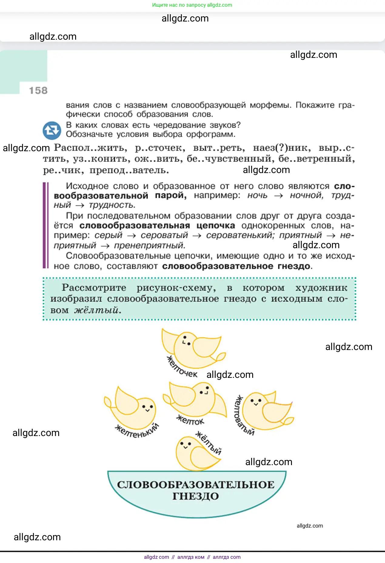 Русский язык, 6 класс Учебник, авторы: Баранов Михаил Трофимович, Ладыженская Таиса Алексеевна, Тростенцова Лидия Александровна, Ладыженская Наталия Вениаминовна, Дейкина Алевтина Дмитриевна, Антонова Любовь Геннадиевна, Григорян Лариса Трофимовна, Кулибаба Иван Иванович, издательство Просвещение, Москва, 2023, салатового цвета, страница 158