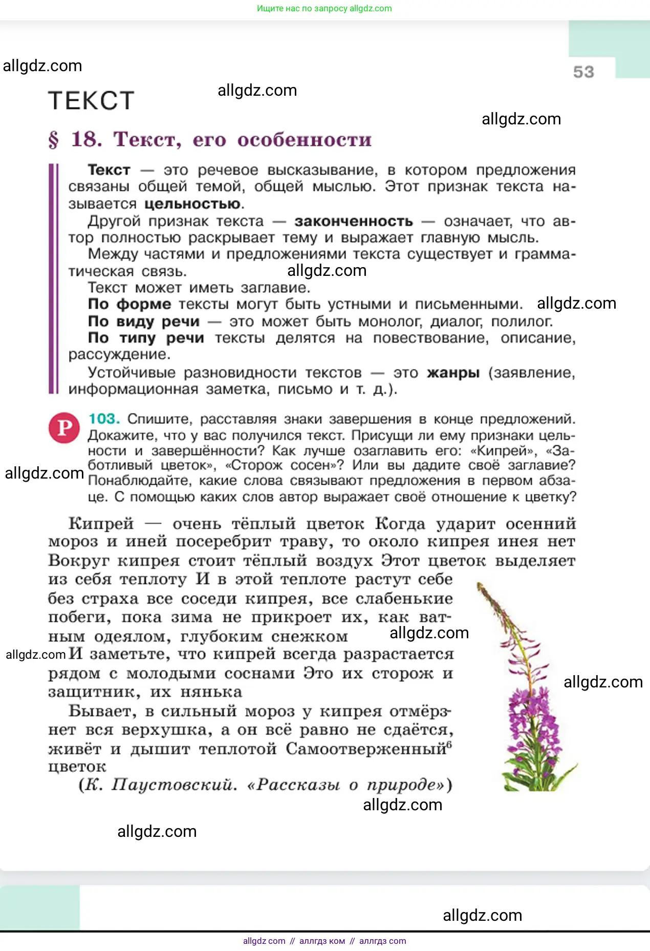 Русский язык, 6 класс Учебник, авторы: Баранов Михаил Трофимович, Ладыженская Таиса Алексеевна, Тростенцова Лидия Александровна, Ладыженская Наталия Вениаминовна, Дейкина Алевтина Дмитриевна, Антонова Любовь Геннадиевна, Григорян Лариса Трофимовна, Кулибаба Иван Иванович, издательство Просвещение, Москва, 2023, салатового цвета, Часть 1, страница 53