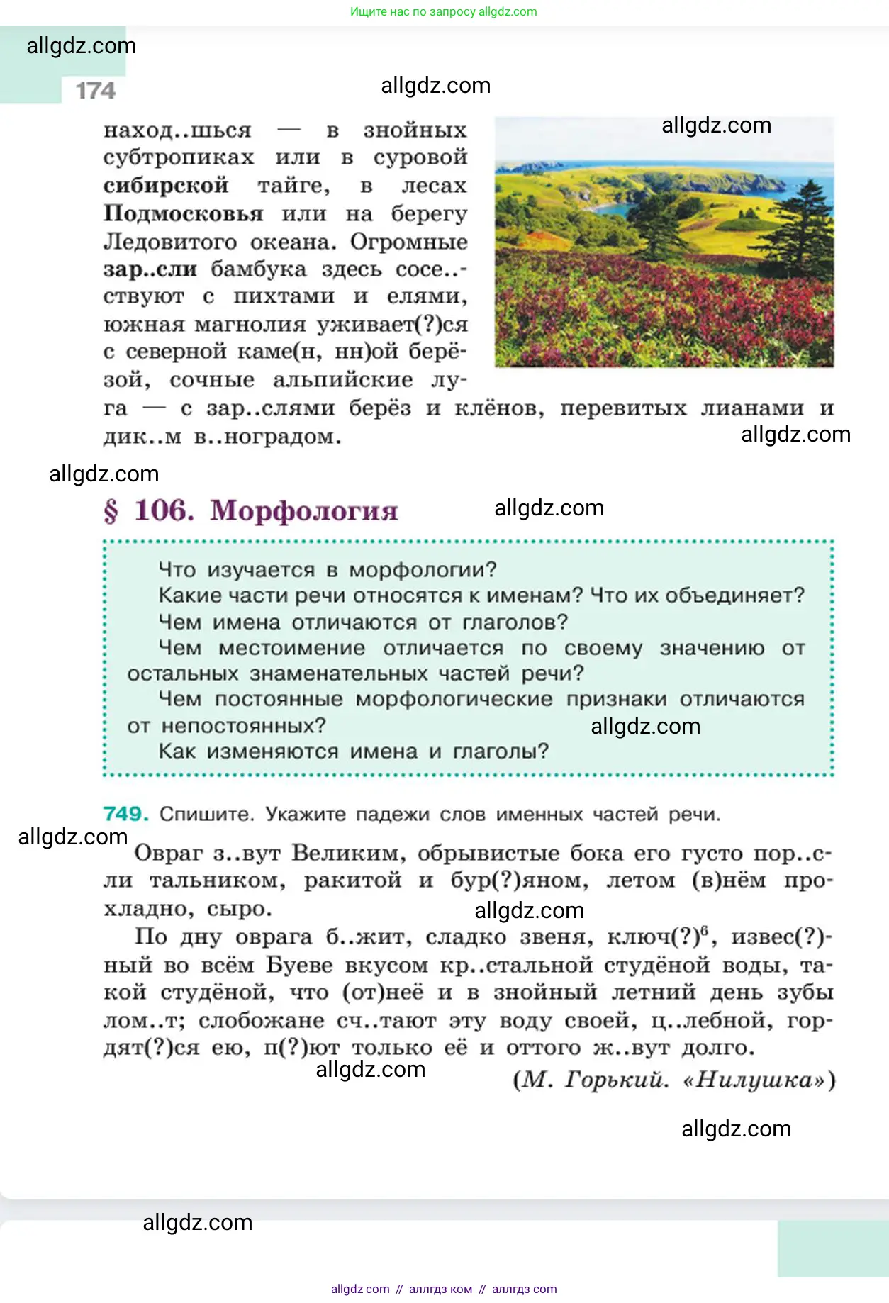 Русский язык, 6 класс Учебник, авторы: Баранов Михаил Трофимович, Ладыженская Таиса Алексеевна, Тростенцова Лидия Александровна, Ладыженская Наталия Вениаминовна, Дейкина Алевтина Дмитриевна, Антонова Любовь Геннадиевна, Григорян Лариса Трофимовна, Кулибаба Иван Иванович, издательство Просвещение, Москва, 2023, салатового цвета, Часть 2, страница 174
