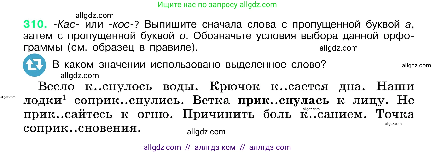Русский язык, 6 класс Учебник, авторы: Баранов Михаил Трофимович, Ладыженская Таиса Алексеевна, Тростенцова Лидия Александровна, Ладыженская Наталия Вениаминовна, Дейкина Алевтина Дмитриевна, Антонова Любовь Геннадиевна, Григорян Лариса Трофимовна, Кулибаба Иван Иванович, издательство Просвещение, Москва, 2023, салатового цвета, Часть 1, страница 162, номер 310, Условие 2024