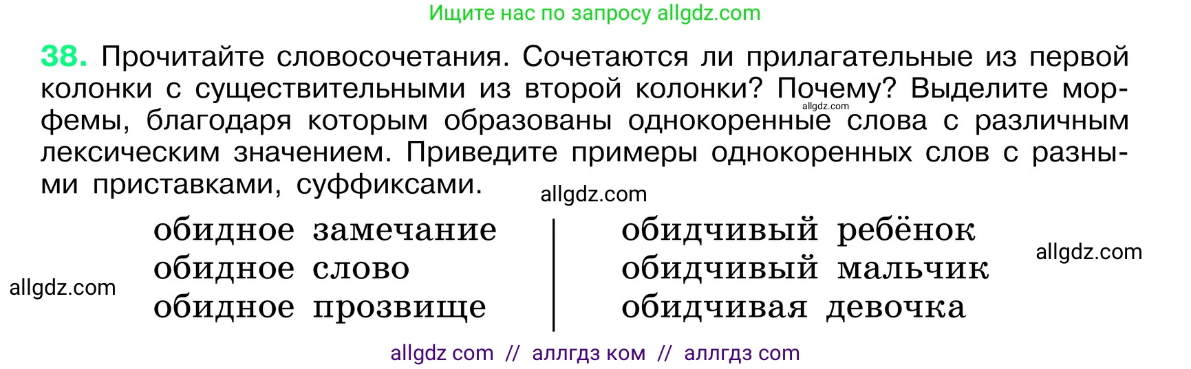 Русский язык, 6 класс Учебник, авторы: Баранов Михаил Трофимович, Ладыженская Таиса Алексеевна, Тростенцова Лидия Александровна, Ладыженская Наталия Вениаминовна, Дейкина Алевтина Дмитриевна, Антонова Любовь Геннадиевна, Григорян Лариса Трофимовна, Кулибаба Иван Иванович, издательство Просвещение, Москва, 2023, салатового цвета, Часть 1, страница 19, номер 38, Условие 2024