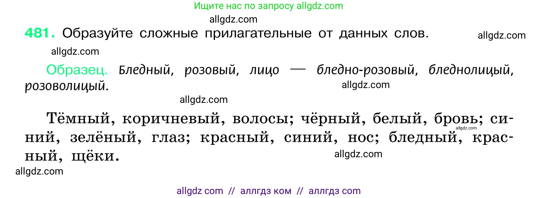 Русский язык, 6 класс Учебник, авторы: Баранов Михаил Трофимович, Ладыженская Таиса Алексеевна, Тростенцова Лидия Александровна, Ладыженская Наталия Вениаминовна, Дейкина Алевтина Дмитриевна, Антонова Любовь Геннадиевна, Григорян Лариса Трофимовна, Кулибаба Иван Иванович, издательство Просвещение, Москва, 2023, салатового цвета, Часть 2, страница 40, номер 481, Условие 2024
