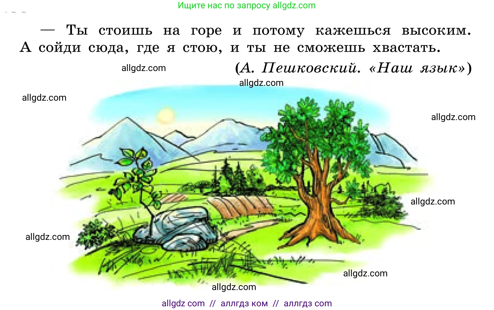 Русский язык, 6 класс Учебник, авторы: Баранов Михаил Трофимович, Ладыженская Таиса Алексеевна, Тростенцова Лидия Александровна, Ладыженская Наталия Вениаминовна, Дейкина Алевтина Дмитриевна, Антонова Любовь Геннадиевна, Григорян Лариса Трофимовна, Кулибаба Иван Иванович, издательство Просвещение, Москва, 2023, салатового цвета, Часть 2, страница 135, номер 672, Условие 2024 (продолжение 2)