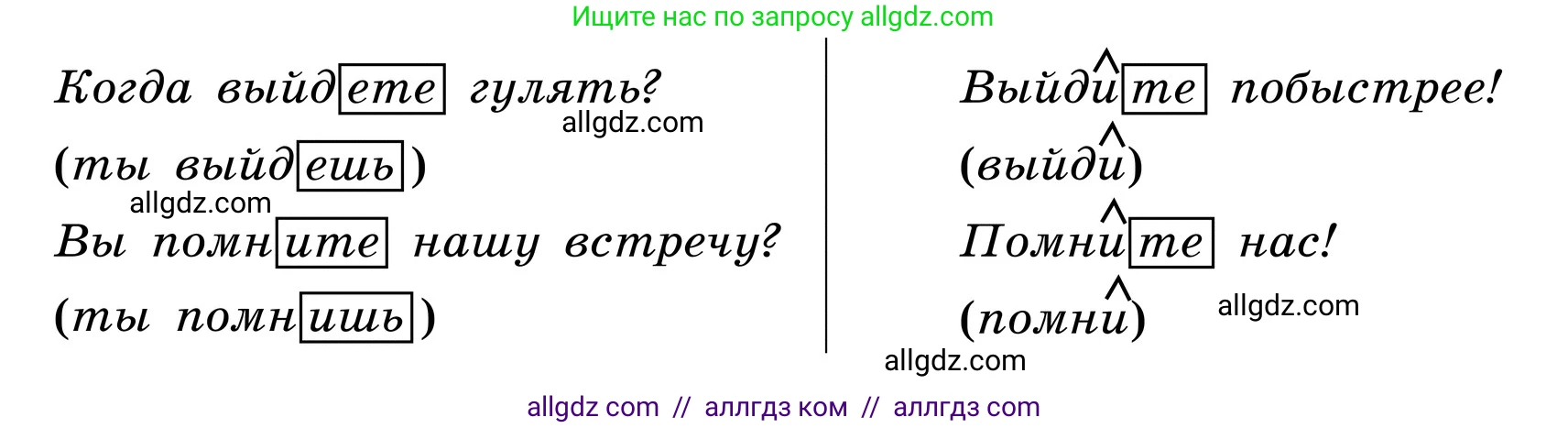 Русский язык, 6 класс Учебник, авторы: Баранов Михаил Трофимович, Ладыженская Таиса Алексеевна, Тростенцова Лидия Александровна, Ладыженская Наталия Вениаминовна, Дейкина Алевтина Дмитриевна, Антонова Любовь Геннадиевна, Григорян Лариса Трофимовна, Кулибаба Иван Иванович, издательство Просвещение, Москва, 2023, салатового цвета, Часть 2, страница 142, Условие 2024 (продолжение 5)