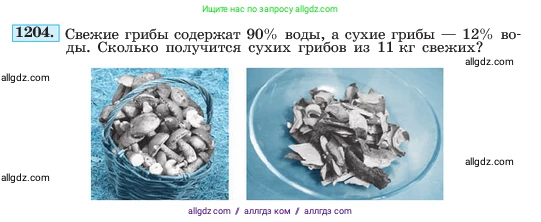Алгебра, 7 класс Учебник, авторы: Макарычев Юрий Николаевич, Миндюк Нора Григорьевна, Нешков Константин Иванович, Суворова Светлана Борисовна, издательство Просвещение, Москва, 2023, белого цвета, страница 234, номер 1204, Условие
