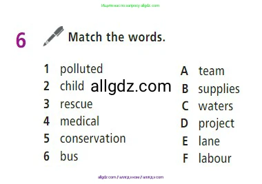 Английский язык (english), 7 класс Учебник (Student's book), авторы: Баранова Ксения Михайловна (Baranova Ksenia), Дули Дженни (Dooley Jenny), Копылова С А, Мильруд Радислав Петрович (Millrood Radislav), Эванс Вирджиния (Evans Virginia), издательство Просвещение, Москва, 2023, белого цвета, страница 5, номер 6, Условие 2023-2027