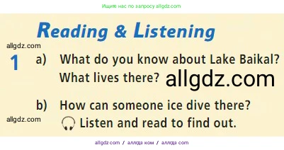 Английский язык (english), 7 класс Учебник (Student's book), авторы: Баранова Ксения Михайловна (Baranova Ksenia), Дули Дженни (Dooley Jenny), Копылова С А, Мильруд Радислав Петрович (Millrood Radislav), Эванс Вирджиния (Evans Virginia), издательство Просвещение, Москва, 2023, белого цвета, страница 24, номер 1, Условие 2023-2027