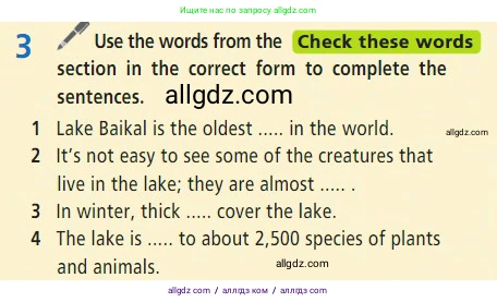 Английский язык (english), 7 класс Учебник (Student's book), авторы: Баранова Ксения Михайловна (Baranova Ksenia), Дули Дженни (Dooley Jenny), Копылова С А, Мильруд Радислав Петрович (Millrood Radislav), Эванс Вирджиния (Evans Virginia), издательство Просвещение, Москва, 2023, белого цвета, страница 24, номер 3, Условие 2023-2027