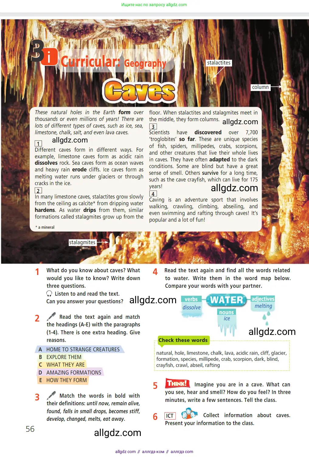 Английский язык (english), 7 класс Учебник (Student's book), авторы: Баранова Ксения Михайловна (Baranova Ksenia), Дули Дженни (Dooley Jenny), Копылова С А, Мильруд Радислав Петрович (Millrood Radislav), Эванс Вирджиния (Evans Virginia), издательство Просвещение, Москва, 2023, белого цвета, страница 56