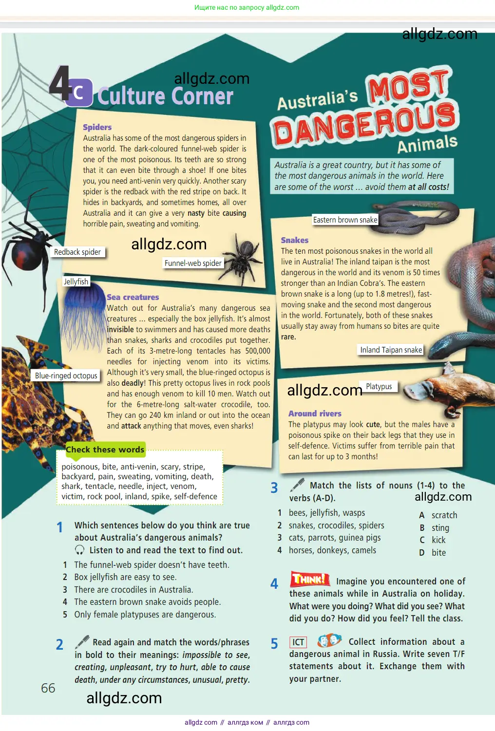 Английский язык (english), 7 класс Учебник (Student's book), авторы: Баранова Ксения Михайловна (Baranova Ksenia), Дули Дженни (Dooley Jenny), Копылова С А, Мильруд Радислав Петрович (Millrood Radislav), Эванс Вирджиния (Evans Virginia), издательство Просвещение, Москва, 2023, белого цвета, страница 66