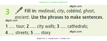 Английский язык (english), 7 класс Учебник (Student's book), авторы: Баранова Ксения Михайловна (Baranova Ksenia), Дули Дженни (Dooley Jenny), Копылова С А, Мильруд Радислав Петрович (Millrood Radislav), Эванс Вирджиния (Evans Virginia), издательство Просвещение, Москва, 2023, белого цвета, страница 35, номер 3, Условие 2023-2027
