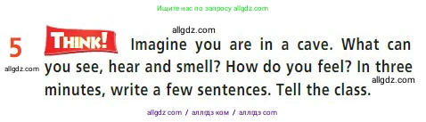 Английский язык (english), 7 класс Учебник (Student's book), авторы: Баранова Ксения Михайловна (Baranova Ksenia), Дули Дженни (Dooley Jenny), Копылова С А, Мильруд Радислав Петрович (Millrood Radislav), Эванс Вирджиния (Evans Virginia), издательство Просвещение, Москва, 2023, белого цвета, страница 56, номер 5, Условие 2023-2027