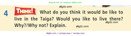 Английский язык (english), 7 класс Учебник (Student's book), авторы: Баранова Ксения Михайловна (Baranova Ksenia), Дули Дженни (Dooley Jenny), Копылова С А, Мильруд Радислав Петрович (Millrood Radislav), Эванс Вирджиния (Evans Virginia), издательство Просвещение, Москва, 2023, белого цвета, страница 60, номер 4, Условие 2023-2027