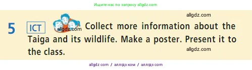 Английский язык (english), 7 класс Учебник (Student's book), авторы: Баранова Ксения Михайловна (Baranova Ksenia), Дули Дженни (Dooley Jenny), Копылова С А, Мильруд Радислав Петрович (Millrood Radislav), Эванс Вирджиния (Evans Virginia), издательство Просвещение, Москва, 2023, белого цвета, страница 60, номер 5, Условие 2023-2027