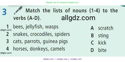 Английский язык (english), 7 класс Учебник (Student's book), авторы: Баранова Ксения Михайловна (Baranova Ksenia), Дули Дженни (Dooley Jenny), Копылова С А, Мильруд Радислав Петрович (Millrood Radislav), Эванс Вирджиния (Evans Virginia), издательство Просвещение, Москва, 2023, белого цвета, страница 66, номер 3, Условие 2023-2027