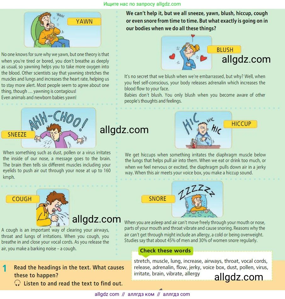 Английский язык (english), 7 класс Учебник (Student's book), авторы: Баранова Ксения Михайловна (Baranova Ksenia), Дули Дженни (Dooley Jenny), Копылова С А, Мильруд Радислав Петрович (Millrood Radislav), Эванс Вирджиния (Evans Virginia), издательство Просвещение, Москва, 2023, белого цвета, страница 92, номер 1, Условие 2023-2027