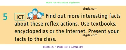 Английский язык (english), 7 класс Учебник (Student's book), авторы: Баранова Ксения Михайловна (Baranova Ksenia), Дули Дженни (Dooley Jenny), Копылова С А, Мильруд Радислав Петрович (Millrood Radislav), Эванс Вирджиния (Evans Virginia), издательство Просвещение, Москва, 2023, белого цвета, страница 92, номер 5, Условие 2023-2027