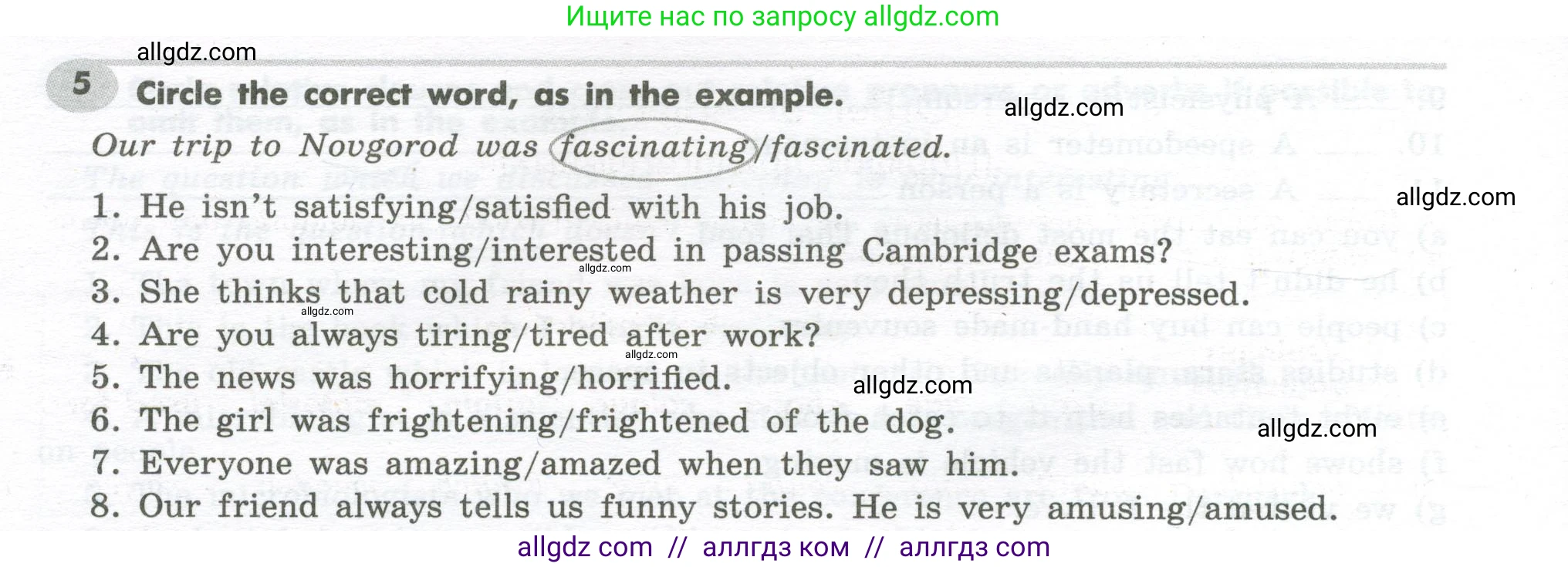 Английский язык (english), 7 класс Грамматический тренажёр, автор: Тимофеева Светлана Леонидовна, издательство Просвещение, Москва, 2023, красного цвета, страница 44, номер 5, Условие 2023-2027