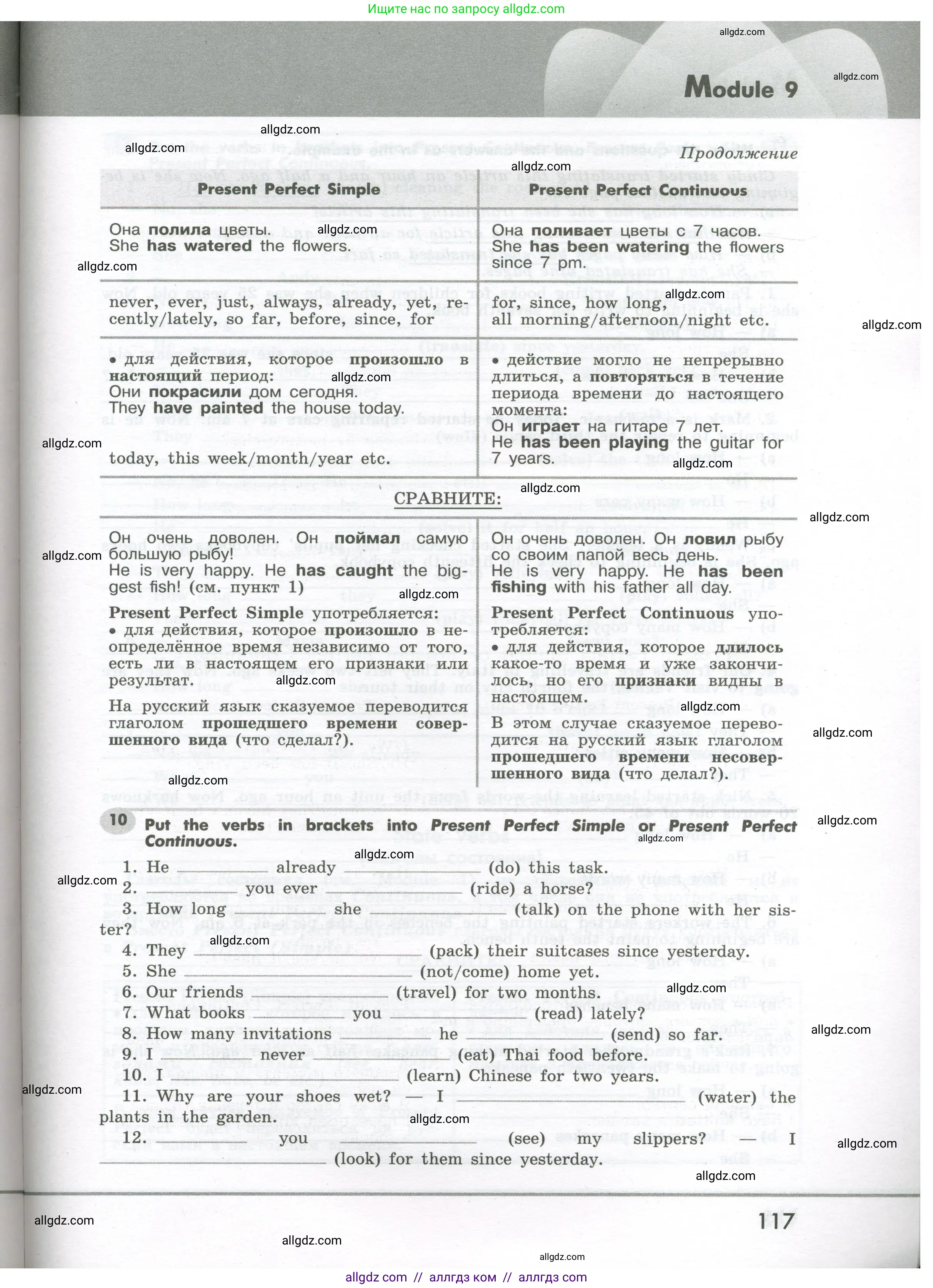 Английский язык (english), 7 класс Грамматический тренажёр, автор: Тимофеева Светлана Леонидовна, издательство Просвещение, Москва, 2023, красного цвета, страница 117
