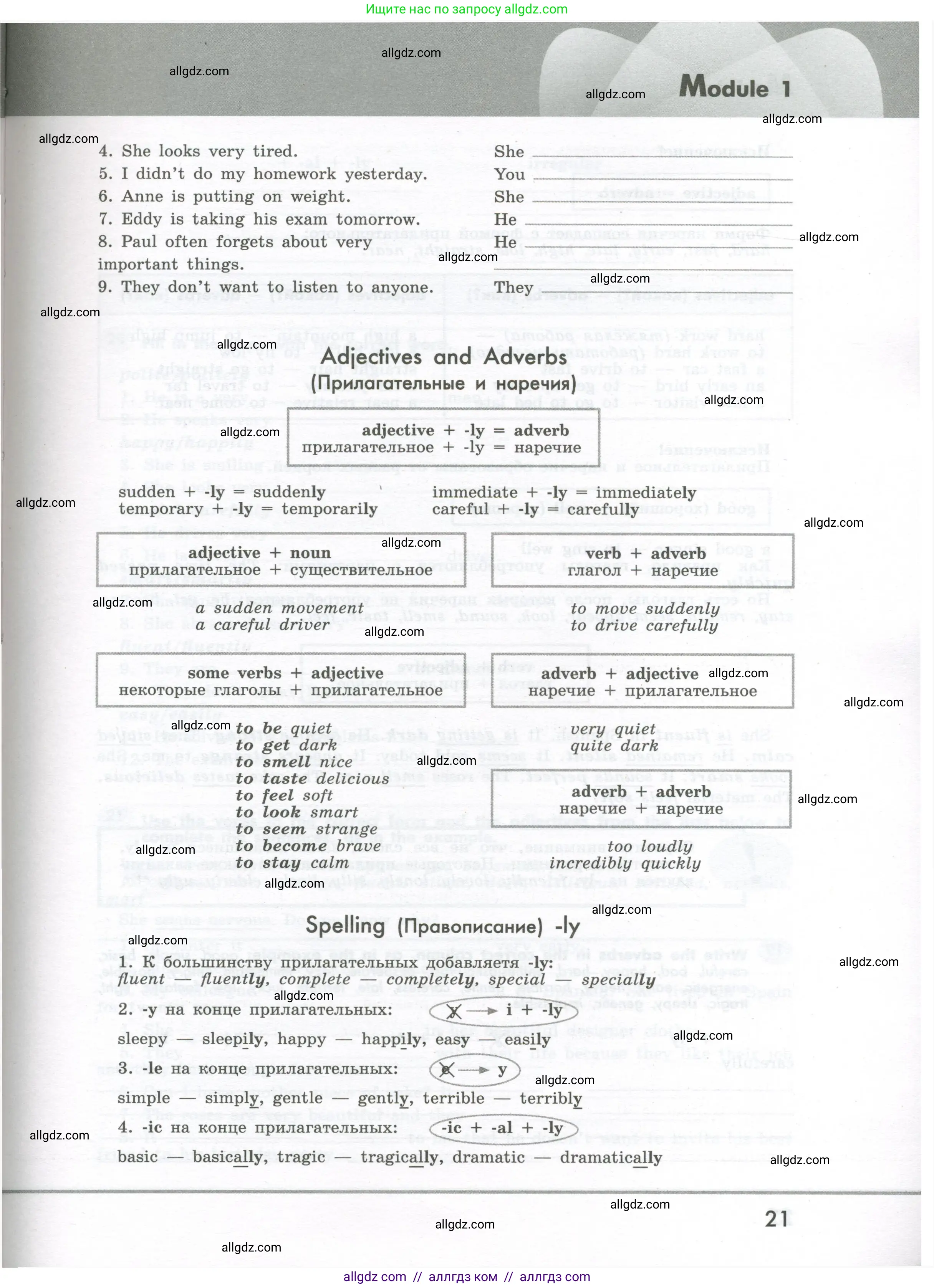Английский язык (english), 7 класс Грамматический тренажёр, автор: Тимофеева Светлана Леонидовна, издательство Просвещение, Москва, 2023, красного цвета, страница 21