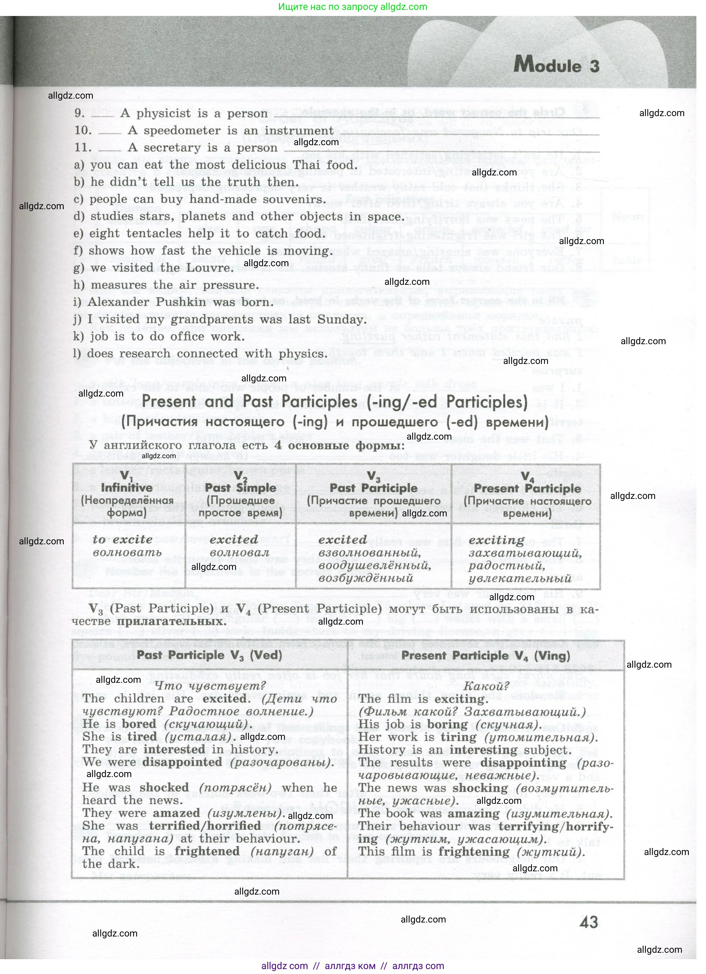 Английский язык (english), 7 класс Грамматический тренажёр, автор: Тимофеева Светлана Леонидовна, издательство Просвещение, Москва, 2023, красного цвета, страница 43