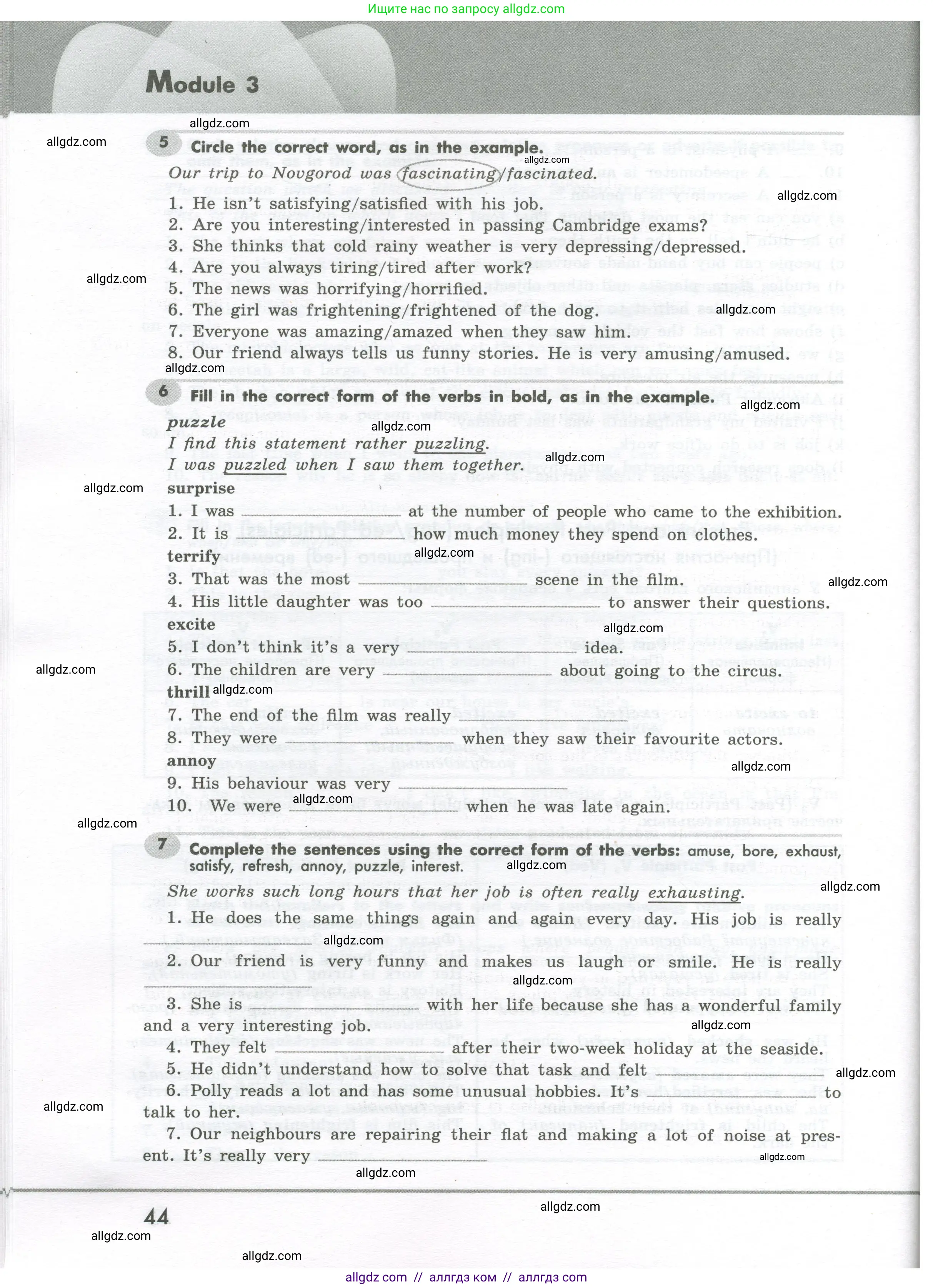 Английский язык (english), 7 класс Грамматический тренажёр, автор: Тимофеева Светлана Леонидовна, издательство Просвещение, Москва, 2023, красного цвета, страница 44