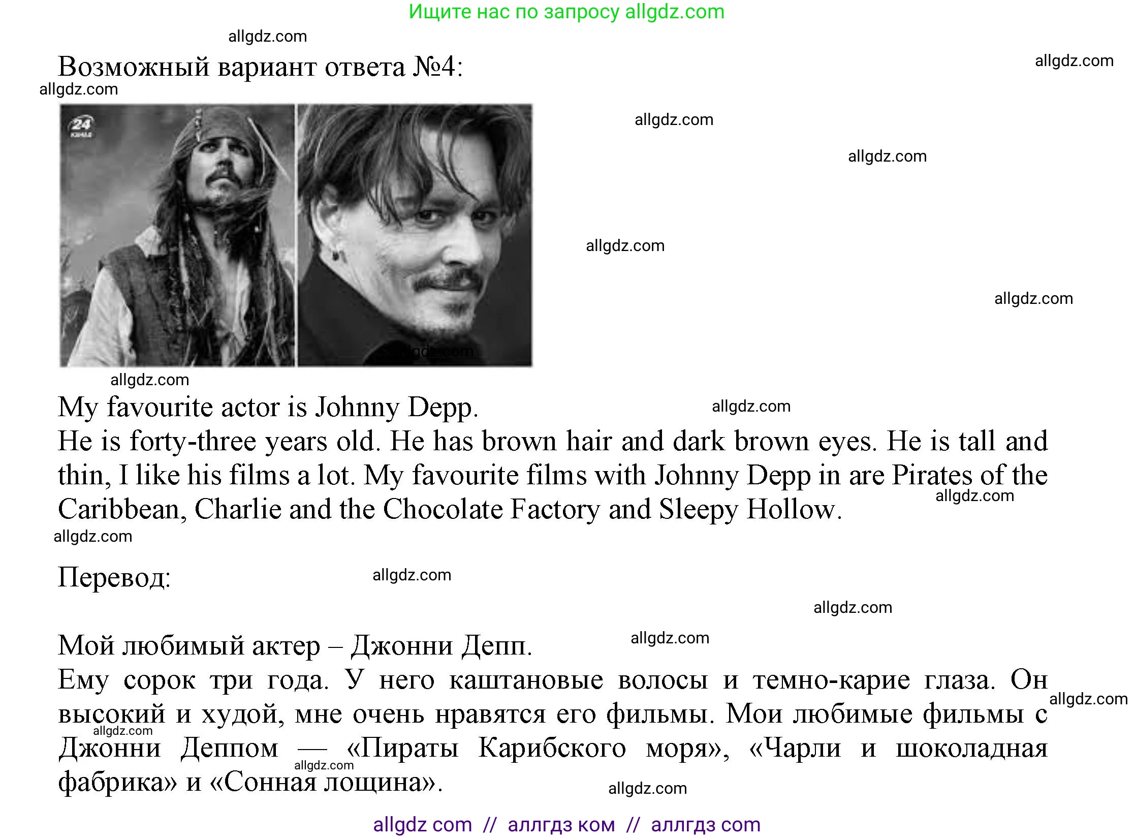 Английский язык (english), 7 класс Языковой портфель (my language portfolio), авторы: Ваулина Юлия Евгеньевна (Vaulina Julia), Дули Дженни (Dooley Jenny), Подоляко Ольга Евгеньевна (Podolyako Olga), Эванс Вирджиния (Evans Virginia), издательство Просвещение, Москва, 2018, серого цвета, страница 29, Решение (продолжение 3)