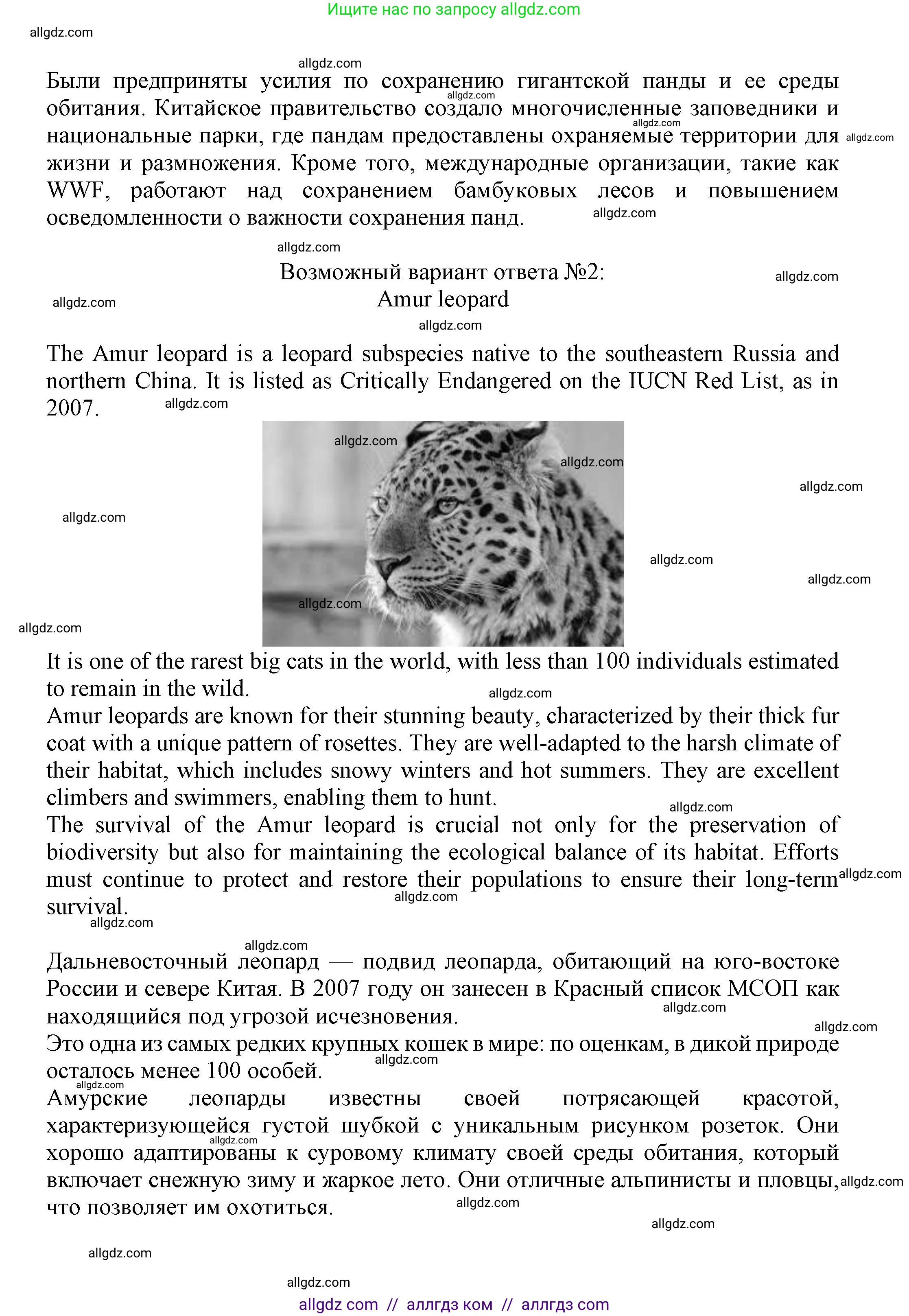 Английский язык (english), 7 класс Языковой портфель (my language portfolio), авторы: Ваулина Юлия Евгеньевна (Vaulina Julia), Дули Дженни (Dooley Jenny), Подоляко Ольга Евгеньевна (Podolyako Olga), Эванс Вирджиния (Evans Virginia), издательство Просвещение, Москва, 2018, серого цвета, страница 49, Решение (продолжение 3)