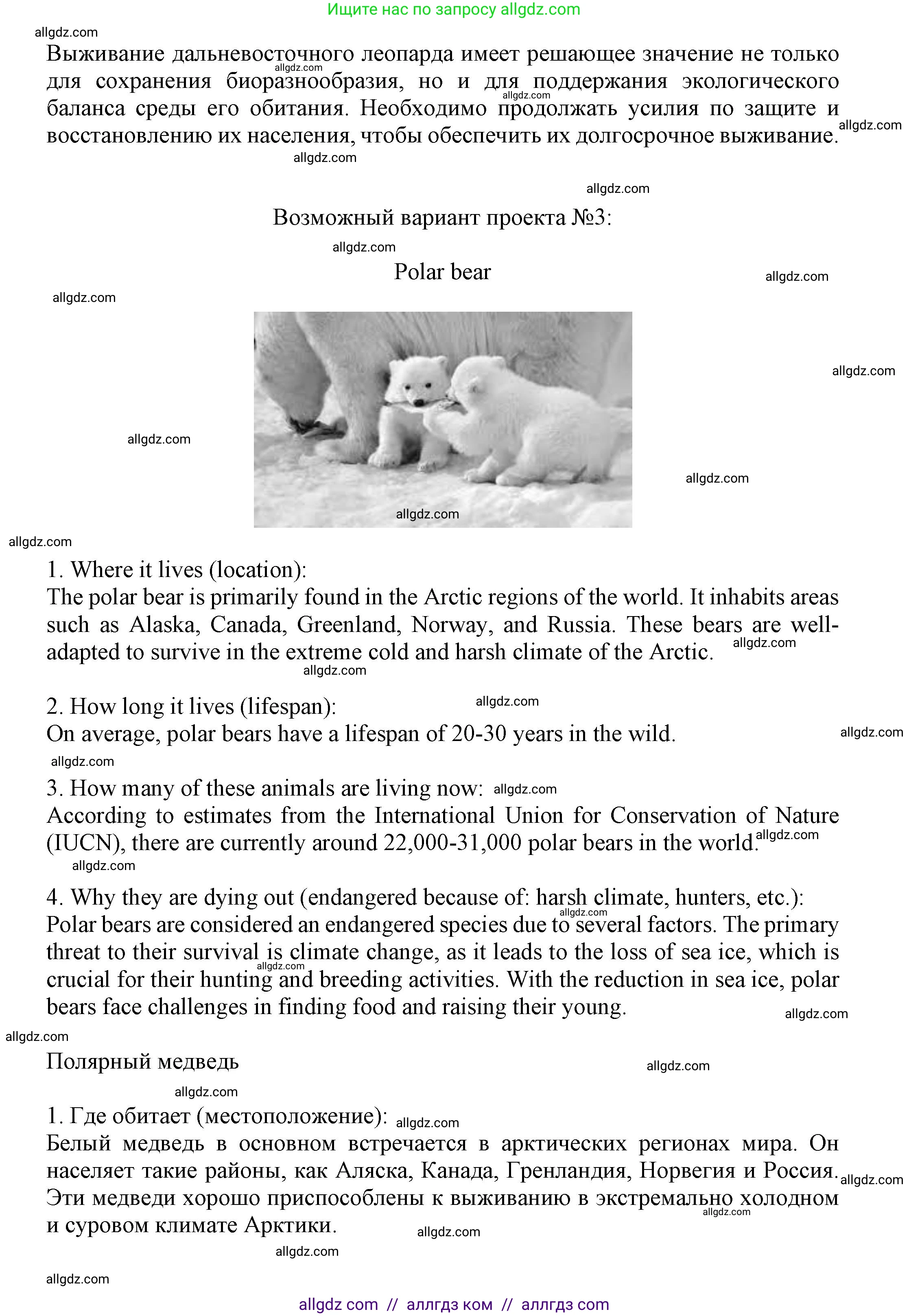 Английский язык (english), 7 класс Языковой портфель (my language portfolio), авторы: Ваулина Юлия Евгеньевна (Vaulina Julia), Дули Дженни (Dooley Jenny), Подоляко Ольга Евгеньевна (Podolyako Olga), Эванс Вирджиния (Evans Virginia), издательство Просвещение, Москва, 2018, серого цвета, страница 49, Решение (продолжение 4)