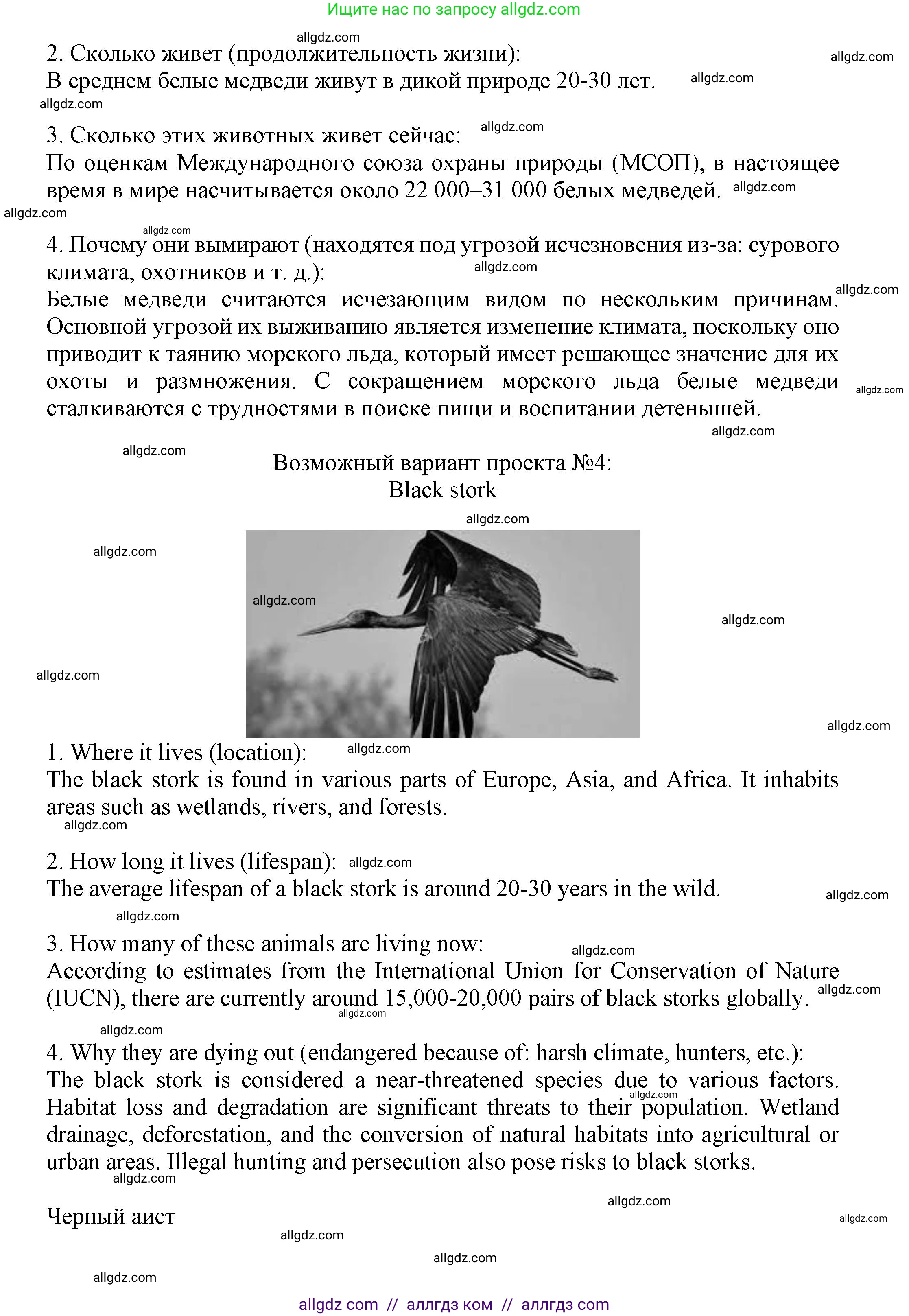 Английский язык (english), 7 класс Языковой портфель (my language portfolio), авторы: Ваулина Юлия Евгеньевна (Vaulina Julia), Дули Дженни (Dooley Jenny), Подоляко Ольга Евгеньевна (Podolyako Olga), Эванс Вирджиния (Evans Virginia), издательство Просвещение, Москва, 2018, серого цвета, страница 49, Решение (продолжение 5)