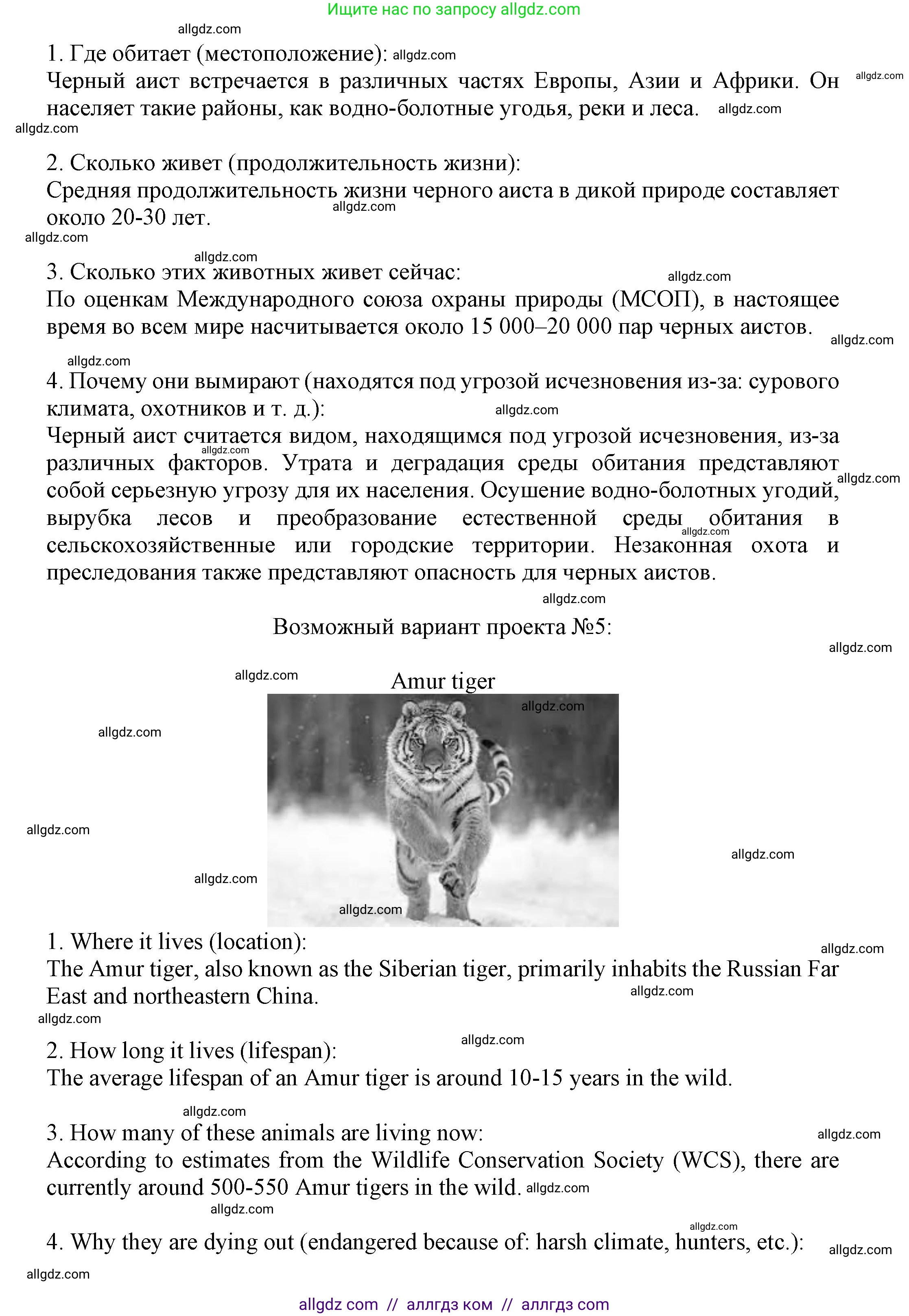 Английский язык (english), 7 класс Языковой портфель (my language portfolio), авторы: Ваулина Юлия Евгеньевна (Vaulina Julia), Дули Дженни (Dooley Jenny), Подоляко Ольга Евгеньевна (Podolyako Olga), Эванс Вирджиния (Evans Virginia), издательство Просвещение, Москва, 2018, серого цвета, страница 49, Решение (продолжение 6)