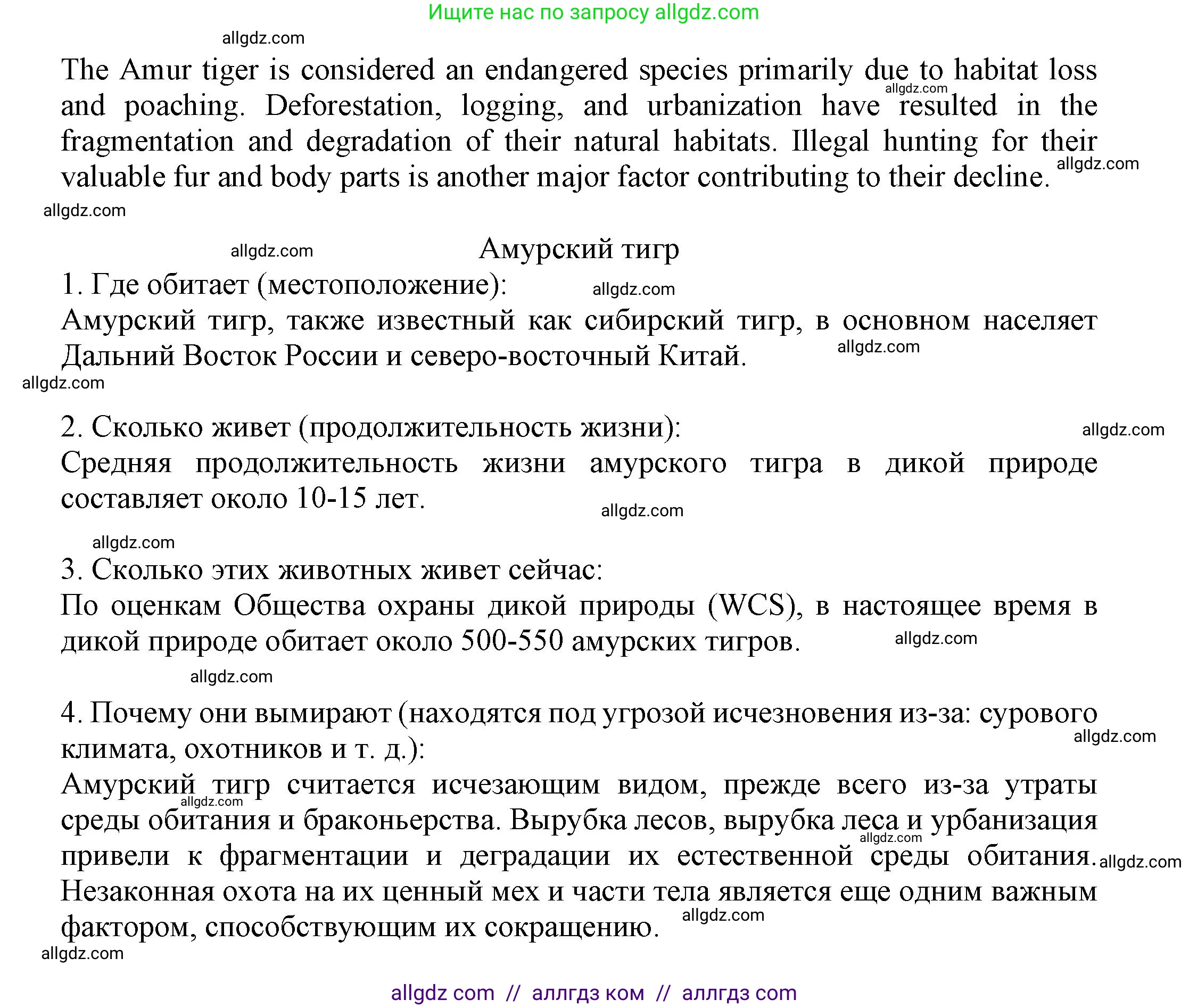 Английский язык (english), 7 класс Языковой портфель (my language portfolio), авторы: Ваулина Юлия Евгеньевна (Vaulina Julia), Дули Дженни (Dooley Jenny), Подоляко Ольга Евгеньевна (Podolyako Olga), Эванс Вирджиния (Evans Virginia), издательство Просвещение, Москва, 2018, серого цвета, страница 49, Решение (продолжение 7)