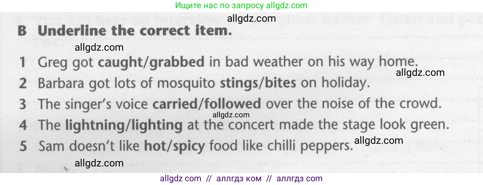 Английский язык (english), 7 класс контрольные задания (test booklet), авторы: Баранова Ксения Михайловна (Baranova Ksenia), Дули Дженни (Dooley Jenny), Мильруд Радислав Петрович (Millrood Radislav), Эванс Вирджиния (Evans Virginia), издательство Просвещение, Москва, 2023, серого цвета, страница 10, номер B, Условие 2023-2027