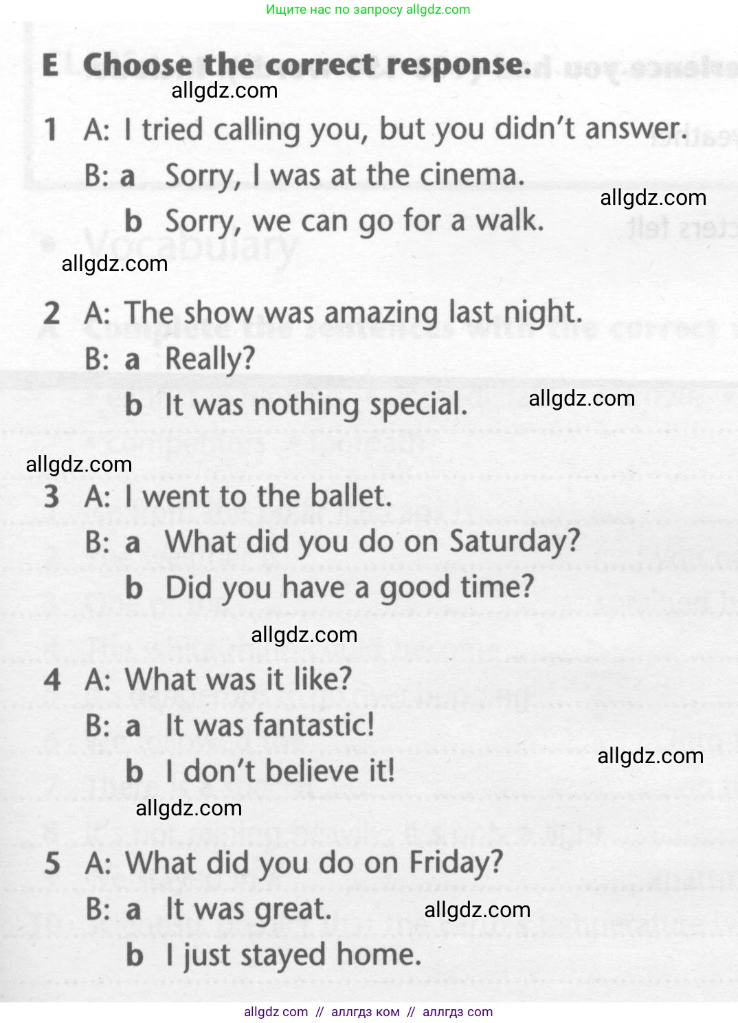 Английский язык (english), 7 класс контрольные задания (test booklet), авторы: Баранова Ксения Михайловна (Baranova Ksenia), Дули Дженни (Dooley Jenny), Мильруд Радислав Петрович (Millrood Radislav), Эванс Вирджиния (Evans Virginia), издательство Просвещение, Москва, 2023, серого цвета, страница 13, номер E, Условие 2023-2027