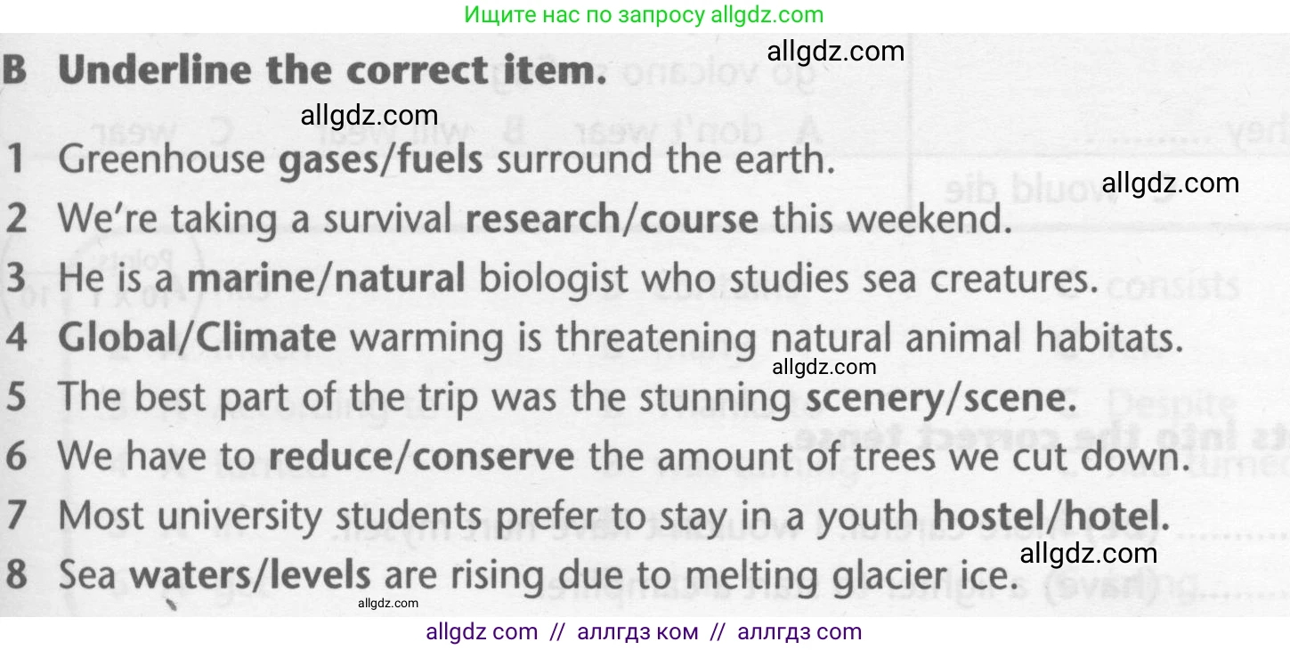 Английский язык (english), 7 класс контрольные задания (test booklet), авторы: Баранова Ксения Михайловна (Baranova Ksenia), Дули Дженни (Dooley Jenny), Мильруд Радислав Петрович (Millrood Radislav), Эванс Вирджиния (Evans Virginia), издательство Просвещение, Москва, 2023, серого цвета, страница 15, номер B, Условие 2023-2027