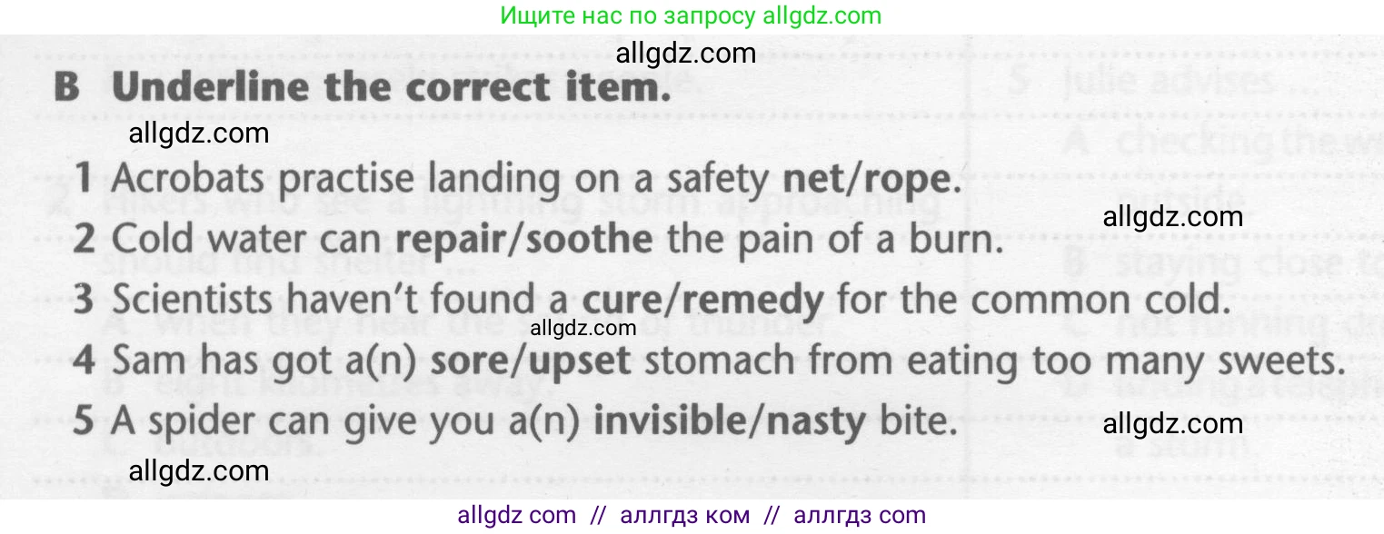 Английский язык (english), 7 класс контрольные задания (test booklet), авторы: Баранова Ксения Михайловна (Baranova Ksenia), Дули Дженни (Dooley Jenny), Мильруд Радислав Петрович (Millrood Radislav), Эванс Вирджиния (Evans Virginia), издательство Просвещение, Москва, 2023, серого цвета, страница 20, номер B, Условие 2023-2027