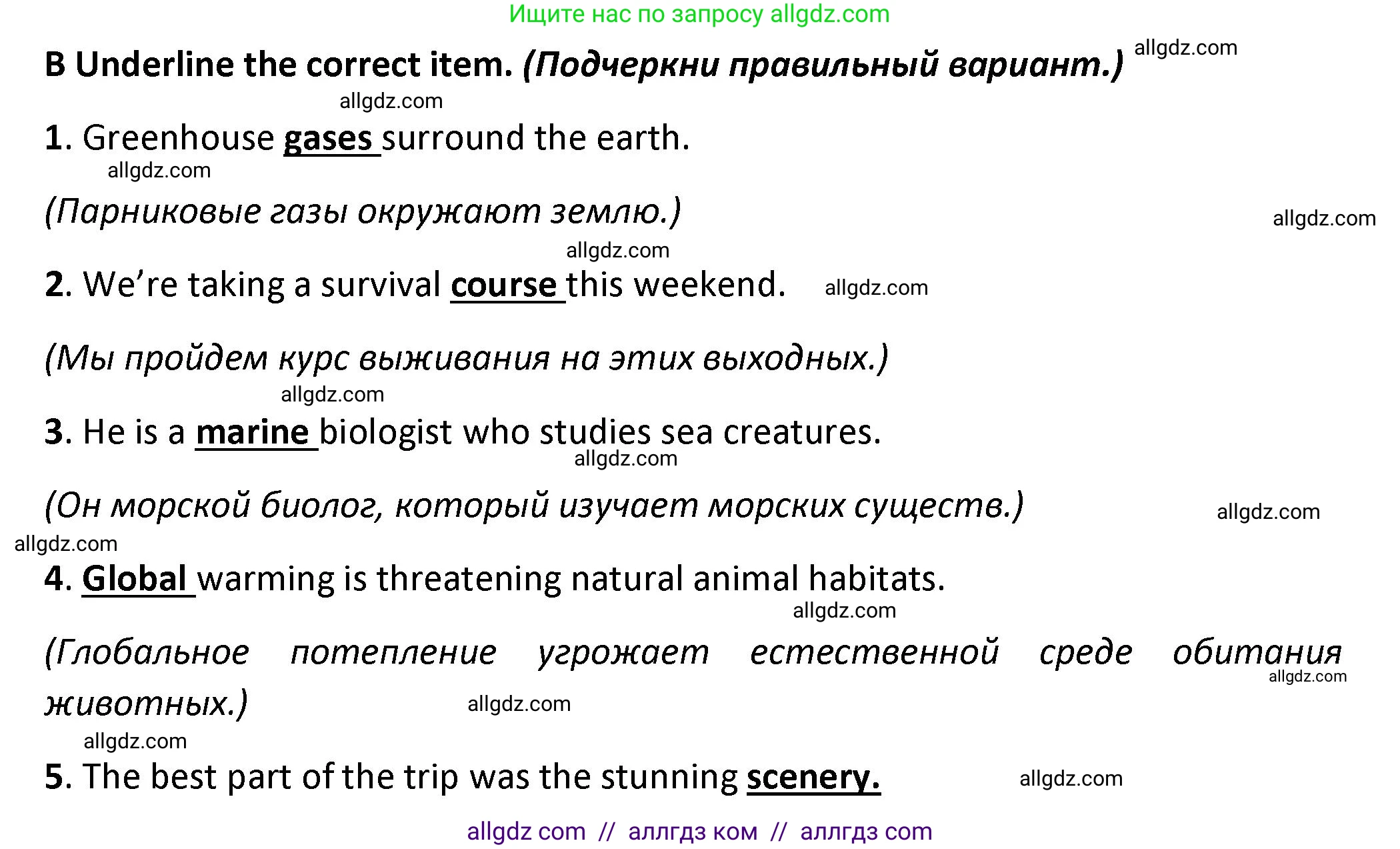 Английский язык (english), 7 класс контрольные задания (test booklet), авторы: Баранова Ксения Михайловна (Baranova Ksenia), Дули Дженни (Dooley Jenny), Мильруд Радислав Петрович (Millrood Radislav), Эванс Вирджиния (Evans Virginia), издательство Просвещение, Москва, 2023, серого цвета, страница 15, номер B, Решение 1 (2023-2027)
