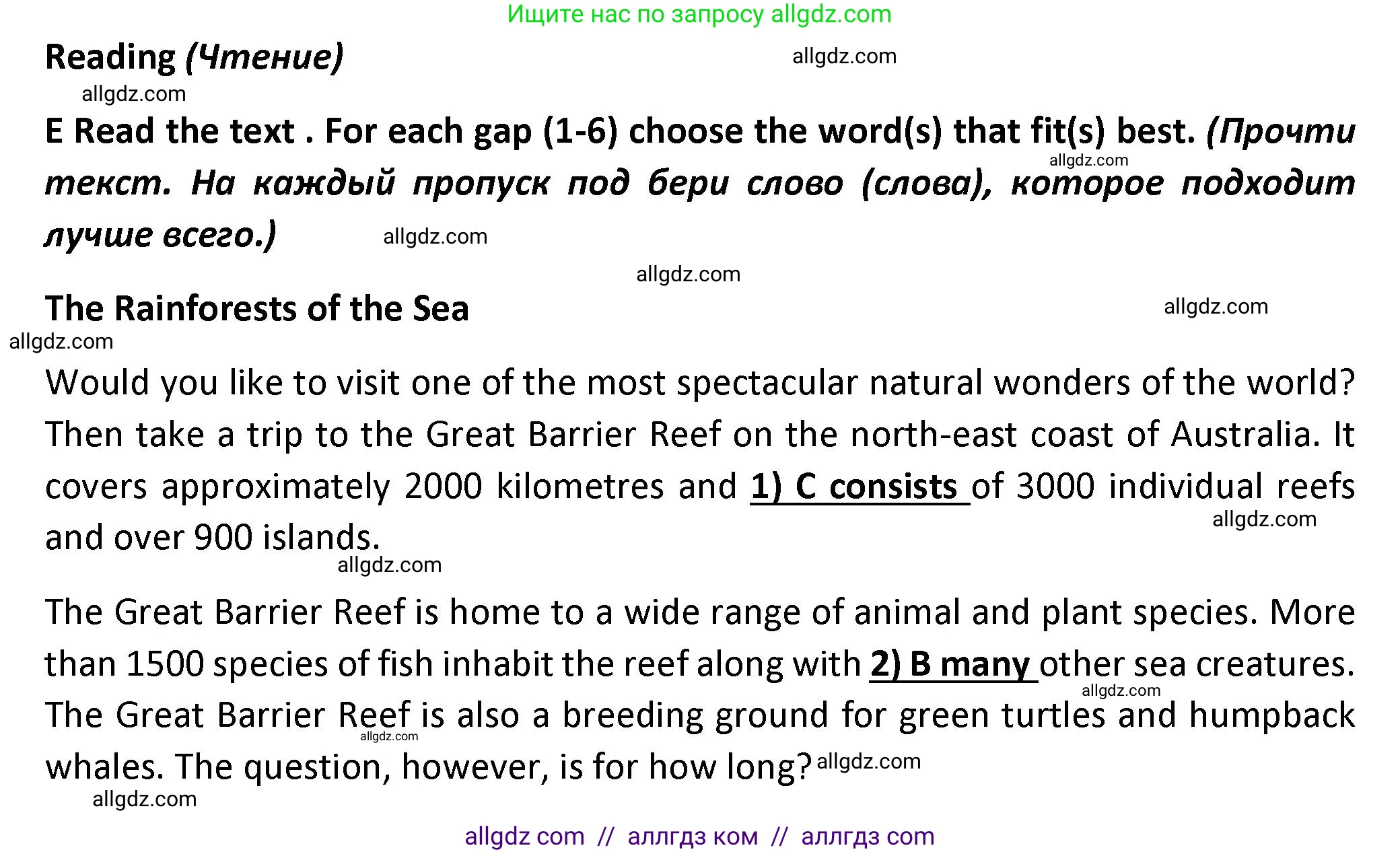 Английский язык (english), 7 класс контрольные задания (test booklet), авторы: Баранова Ксения Михайловна (Baranova Ksenia), Дули Дженни (Dooley Jenny), Мильруд Радислав Петрович (Millrood Radislav), Эванс Вирджиния (Evans Virginia), издательство Просвещение, Москва, 2023, серого цвета, страница 17, номер E, Решение 1 (2023-2027)