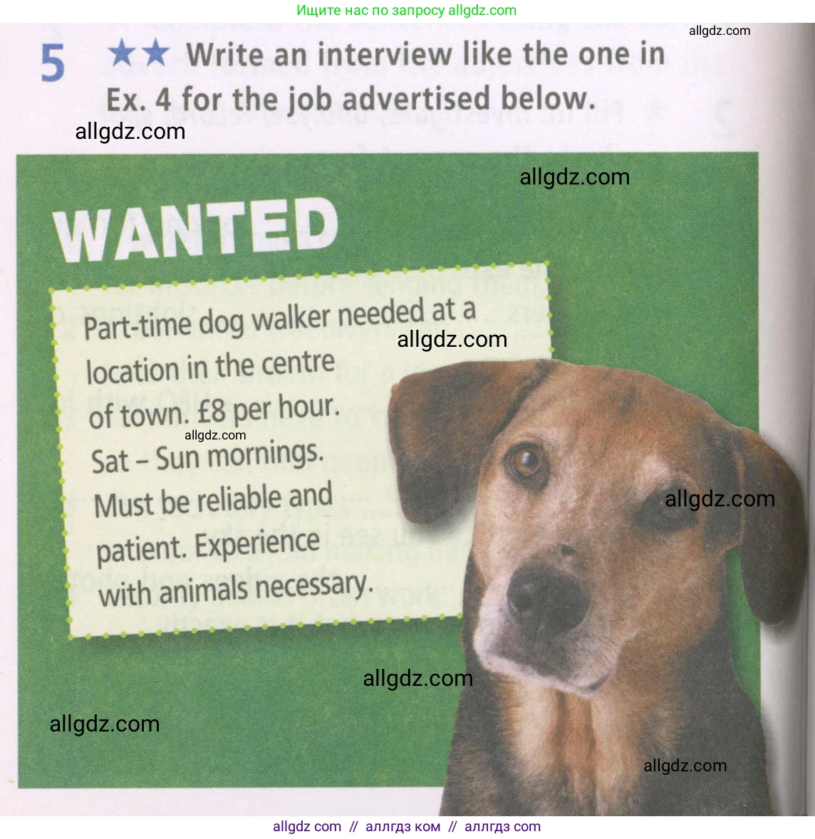 Английский язык (english), 7 класс Рабочая тетрадь (workbook), авторы: Баранова Ксения Михайловна (Baranova Ksenia), Дули Дженни (Dooley Jenny), Копылова Виктория Викторовна (Kopylova Victoria), Мильруд Радислав Петрович (Millrood Radislav), Эванс Вирджиния (Evans Virginia), издательство Просвещение, Москва, 2023, белого цвета, страница 6, номер 5, Условия 2023-2027