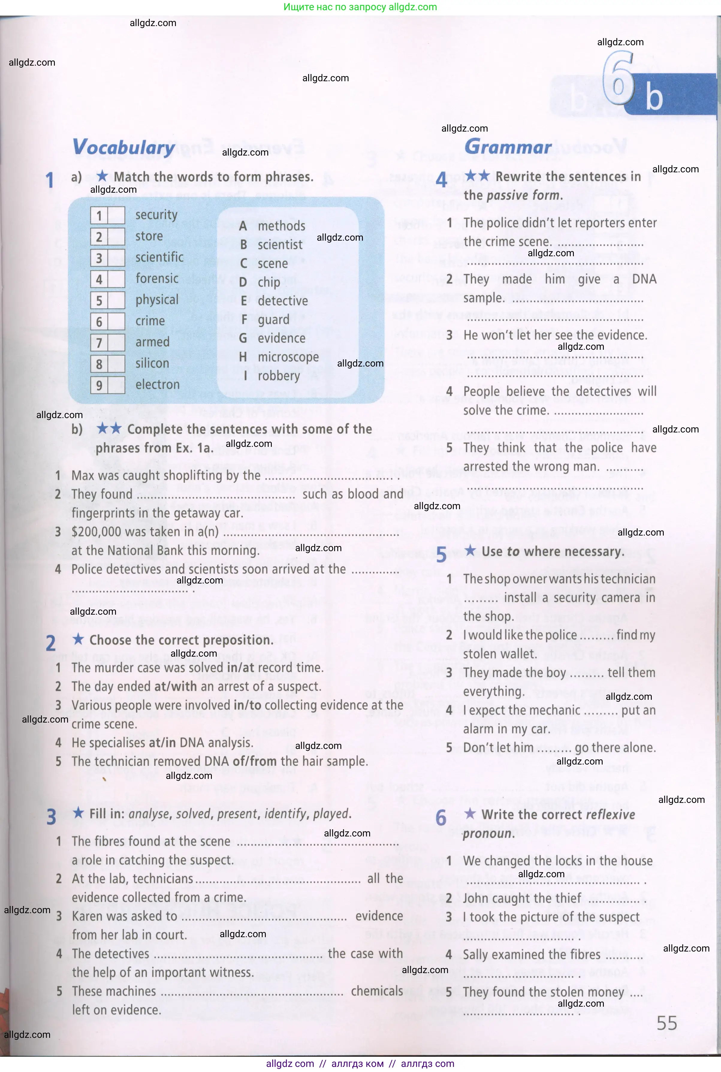 Английский язык (english), 7 класс Рабочая тетрадь (workbook), авторы: Баранова Ксения Михайловна (Baranova Ksenia), Дули Дженни (Dooley Jenny), Копылова Виктория Викторовна (Kopylova Victoria), Мильруд Радислав Петрович (Millrood Radislav), Эванс Вирджиния (Evans Virginia), издательство Просвещение, Москва, 2023, белого цвета, страница 55