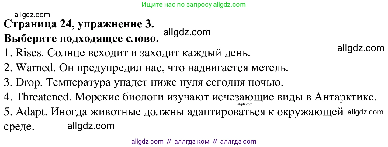 Английский язык (english), 7 класс Рабочая тетрадь (workbook), авторы: Баранова Ксения Михайловна (Baranova Ksenia), Дули Дженни (Dooley Jenny), Копылова Виктория Викторовна (Kopylova Victoria), Мильруд Радислав Петрович (Millrood Radislav), Эванс Вирджиния (Evans Virginia), издательство Просвещение, Москва, 2023, белого цвета, страница 24, номер 3, Решение 1 (2023-2027)